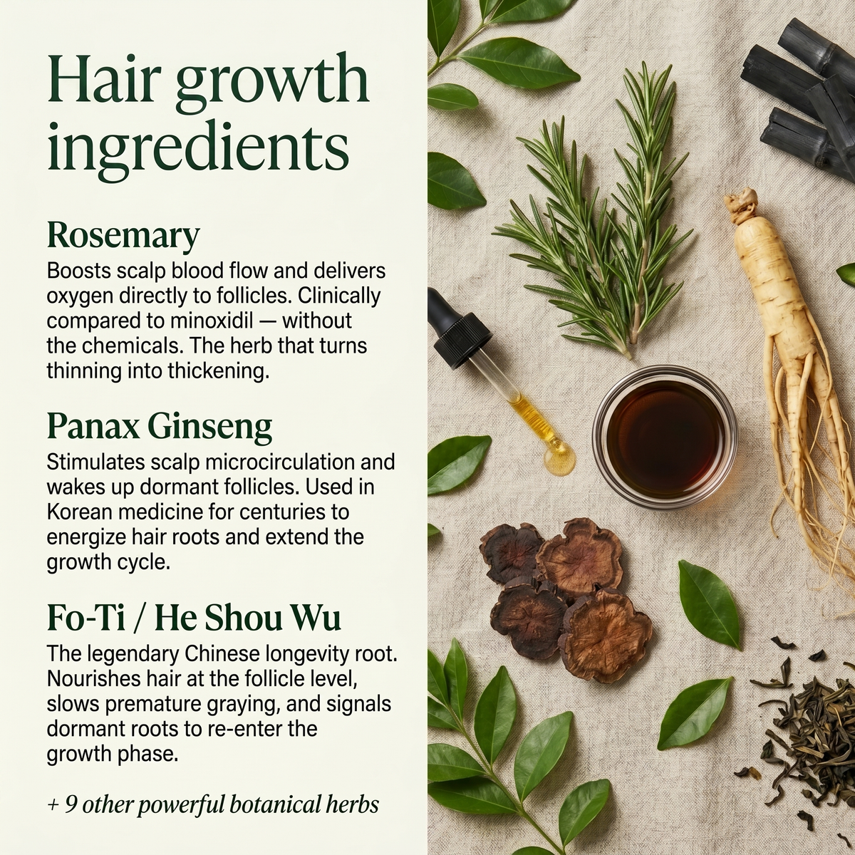 Korean Hair Growth Bar